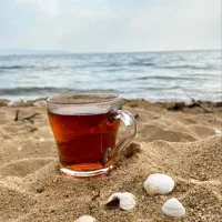 تور شمال دریا و نمک آبرود|تور و چارتر|قم, عمار یاسر|دیوار