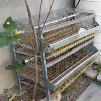 قفس دو طبقه