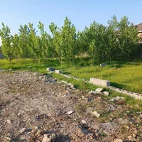 فروش یک قطعه زمین  مسکونی|فروش زمین و ملک کلنگی|رشت, سیا اسطلخ|دیوار