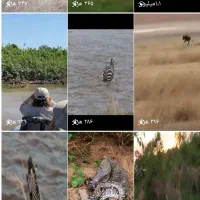 فروش پیج اینستاگرام ،اینستاگرام،اینستا 44 k