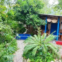 اجاره شبانه کلبه جنگلی