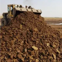 کود گاوی چن ساله