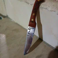 چاقو دسته عناب