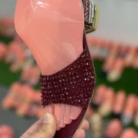 کفش مجلسی