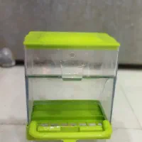 فروش عروس هلندی|پرنده|شیراز, رکنآباد|دیوار