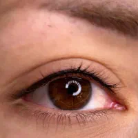 مدل شیدینگ لب و بن مژه|خدمات آرایشگری و زیبایی|تهران, قیطریه|دیوار