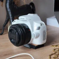 دوربین کنون 250D با لنز 50mm F1/8(نقد و اقساط)