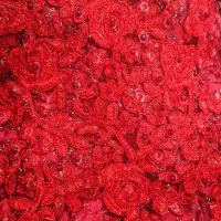 لباس عروس 8.500تومان لباس عقد (حنا)6.500تومان|لباس|قدس, شهرقدس|دیوار