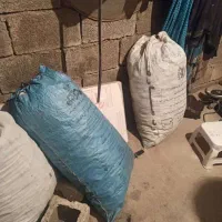 زغال موجود است