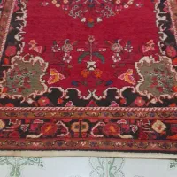 قالی|فرش|ایلام, |دیوار