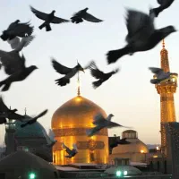 تورمشهد مقدس (ویژه حرکت از کرمان) قطار 3 شب