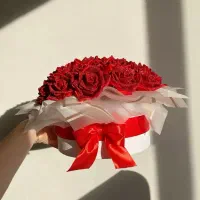عروسک‌باکس‌رز|اسباب‌بازی بچه|خوی, |دیوار