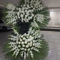 تاج گل|گل و گیاه طبیعی|تهران, باغ خزانه|دیوار