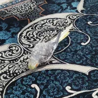 عروس هلندی ماده دستی دستی