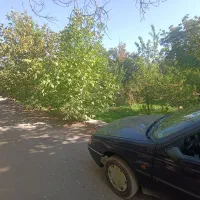 پژو آردی تمییز