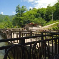 خط موبایل کد۵