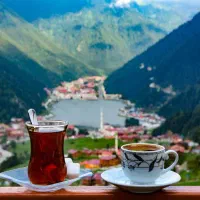 یکهفته اقامت باتومی ترابزون.