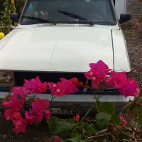 پیکان وانت باروحمل بار تلفنی اسنپ