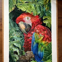 آموزش نقاشی|خدمات آموزشی|پاکدشت, پاکدشت (مامازند)|دیوار