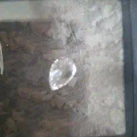 الماس موزانیت