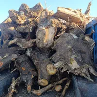 خرید چوب|خدمات باغبانی و درختکاری|زنجان, |دیوار