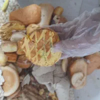 نان خشک سالم|عمدهفروشی|سنگر, |دیوار