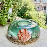 شمع جاویدان/ شمعدون