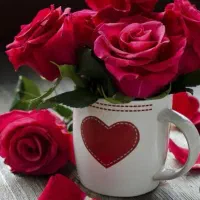 ویژه بانوان