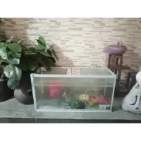 اکواریوم در اندیشه