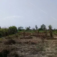 زمین باغی 3000متر