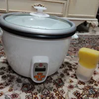 پلو پز پارس خزر مدل ۱۸۱ 8نفره