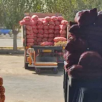 فروش 6دانگ.حجره تره بارتهران فاز 2 سالن 10 پلاک 27|فروش مغازه و غرفه|تهران, میدان میوه و تره‌بار مرکزی|دیوار