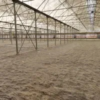 برق گلخانه و مرغداری|خدمات پیشه و مهارت|شیراز, شهرک صنعتی|دیوار