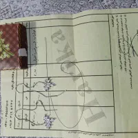 گوشواره نقره تایلندی