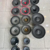 انواع میدرنج امپیلی ساب باند استوک