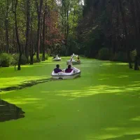 گردش در شهر