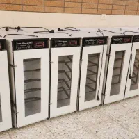 دستگاه جوجه کشی-پرنــدگان زیـنتیـtaq۰۰