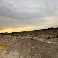 ۹۰۰۰ کتر سندتکبرگچ|فروش زمین و ملک کلنگی|رباط‌کریم, پیغمبر|دیوار