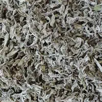 پونه کوهی خشک