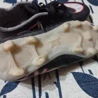 کفش استوک|کیف، کفش، کمربند|رشت, دیانتی|دیوار