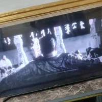 تلویزیون ال ی دی ۵۰