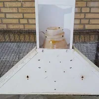 هود آشپزخانه|هود|مسجد سلیمان, |دیوار