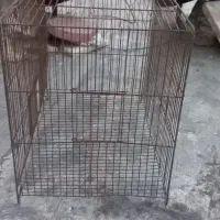 قفس|لوازم جانبی حیوانات|اصفهان, فروردین|دیوار