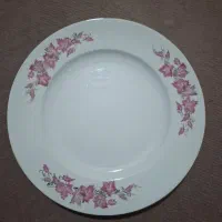 پلوخوری ومیوه خوری