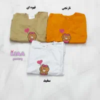 بلوز دورس زنانه|لباس|قم, نخودی|دیوار