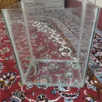 شیشه اکواریم|ماهی|یاسوج, |دیوار