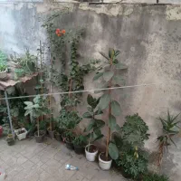 خوش امدین به گلخانه ما