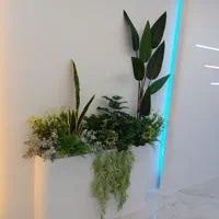 آویز سرخس(اجرا کننده گل مصنوعی برای فلاورباکس)|گل مصنوعی|تهران, بازار|دیوار