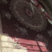 قالی 500شانه