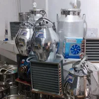 زودپز، گلابگیر، عرقگیر 32نفره|ظروف پخت‌وپز|مشهد, گاز|دیوار